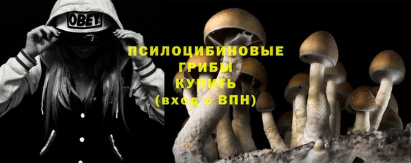 спиды Беломорск